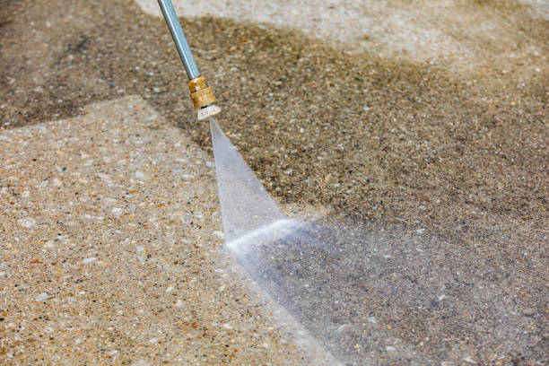 Best Sidewalk and Walkway Cleaning  in Richland, MS